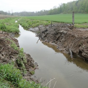 Before Access Middle Sodus Ditch 2012